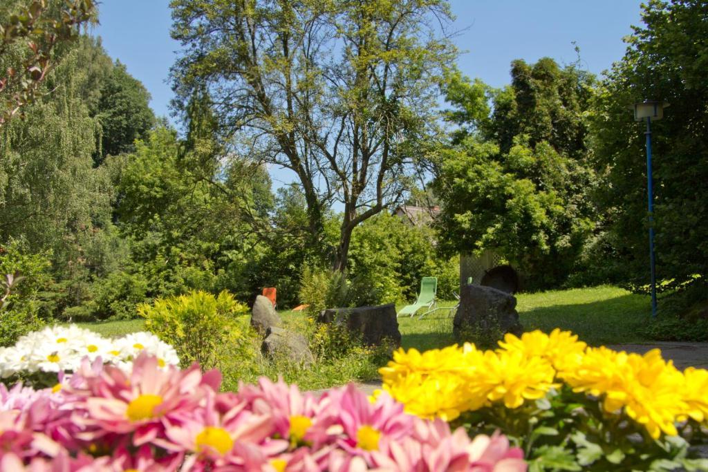Hotel Garni Grundmuehle Bad Schandau Dış mekan fotoğraf